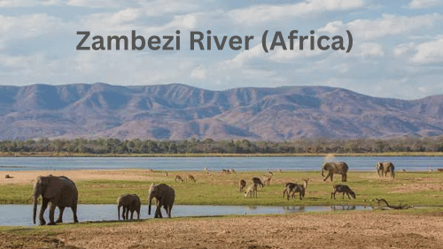 Zambezi river africa the thrill below victoria falls